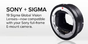 Sigma MC-11 E-Mount Lens Adapter - For Canon | London Camera Exchange