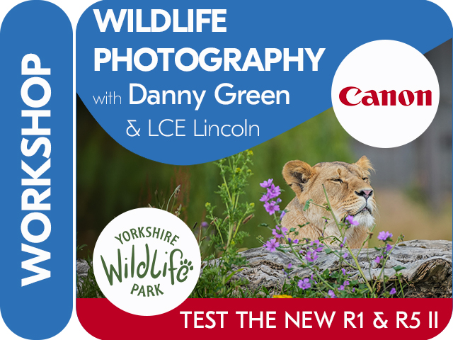 CANON WORKSHOP AT YORKSHIRE WILDLIFE PARK. TEST THE NEW R1 & R5 II.