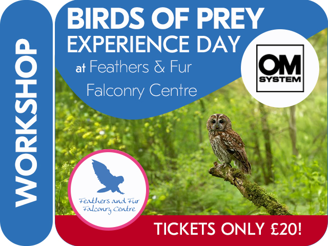 BIRD OF PREY EXPERIENCE DAY with OM SYSTEM