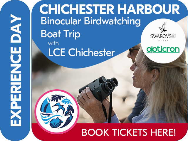 CHICHESTER HARBOUR BINOCULAR BIRDWATCHING BOAT TRIP with SWAROVSKI OPTIK & OPTICRON with CHICHESTER HARBOUR CONSERVANCY