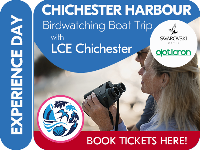 CHICHESTER HARBOUR BIRDWATCHING BOAT TRIP with SWAROVSKI OPTIK & OPTICRON with CHICHESTER HARBOUR CONSERVANCY