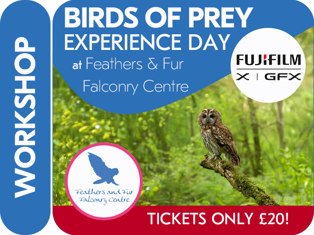 BIRD OF PREY EXPERIENCE DAY with FUJIFILM