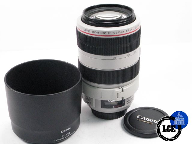 Canon EF 70-300mm f4-5.6L IS USM