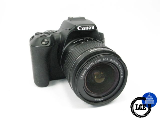 Canon EOS 250D + 18-55mm F3.5-5.6 III