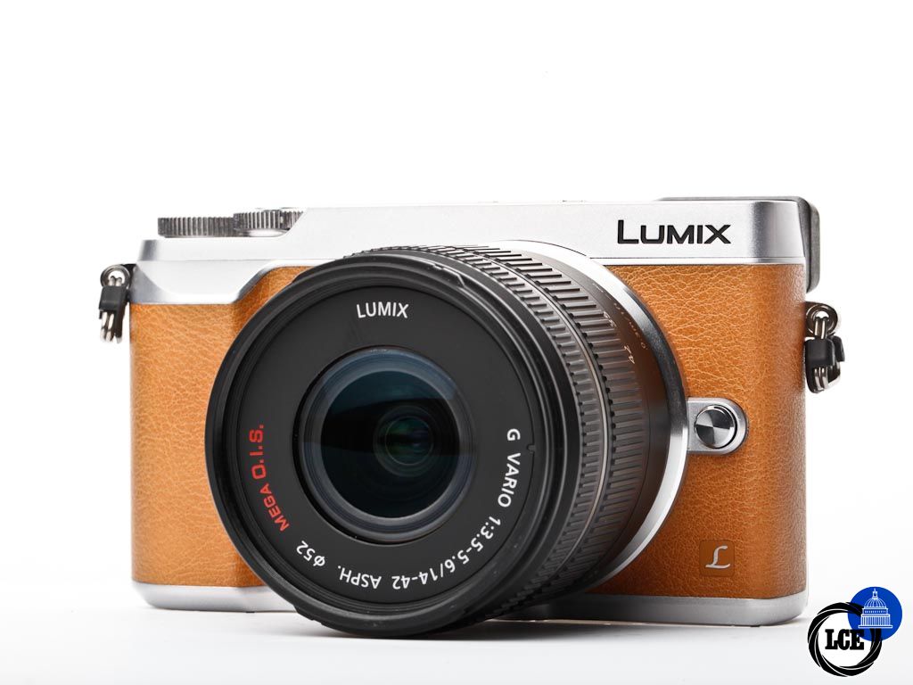 Panasonic Lumix GX80 + 14-42mm | 10111071