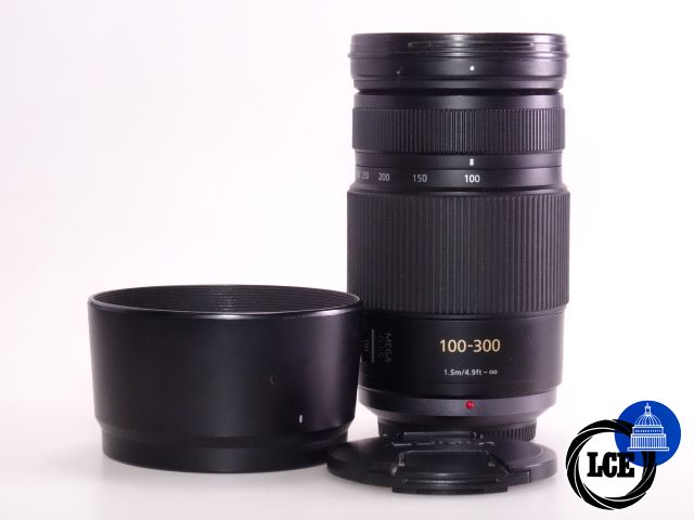 Panasonic 100-300mm f/ 4-5.6 Mega OIS