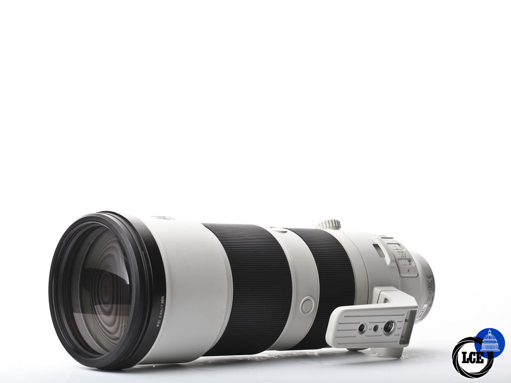 Sony FE 200-600mm G | 10111821