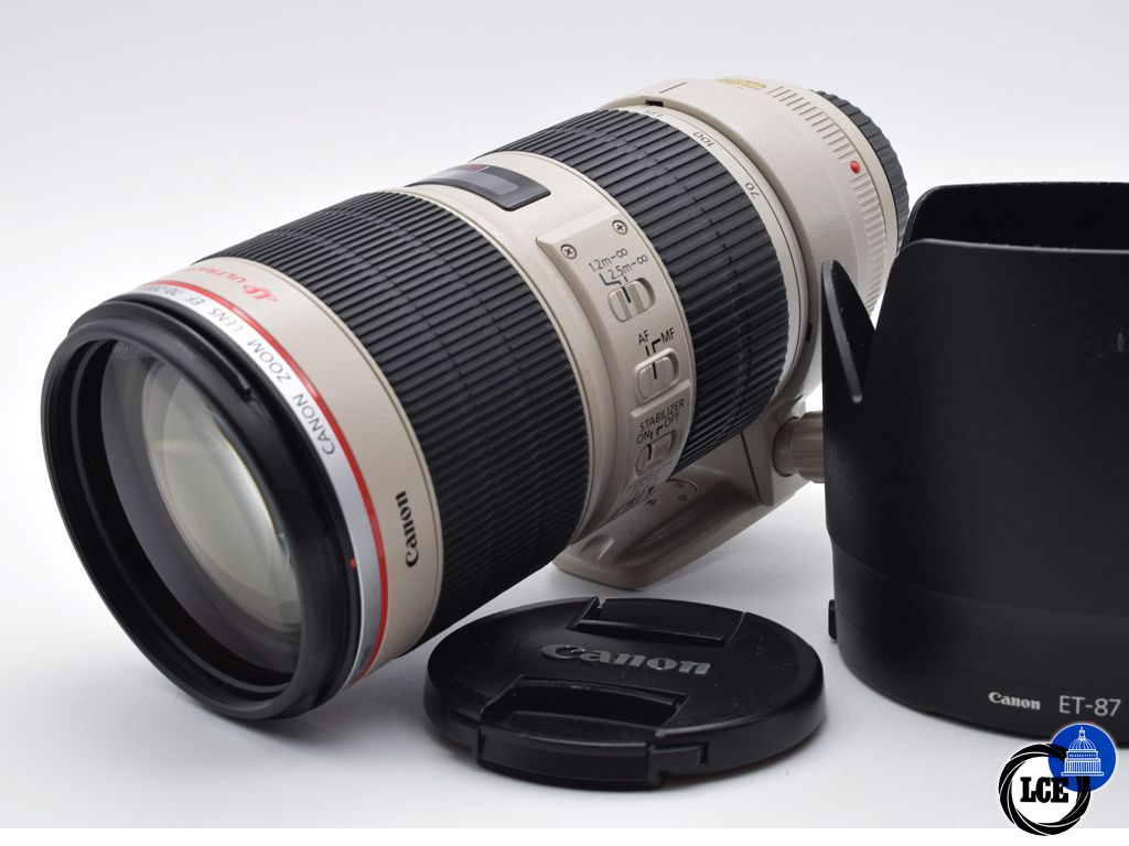 Canon EF 70-200mm f/2.8 L IS II USM 