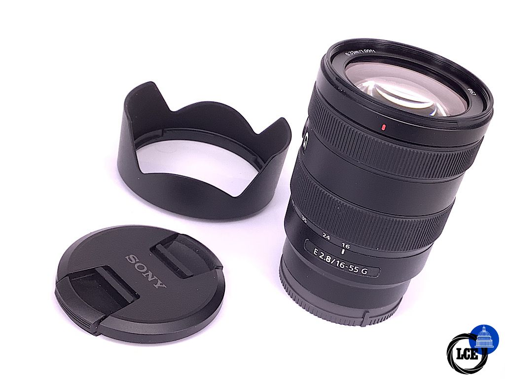 Sony E 16-55mm f2.8 G (APS-C models)