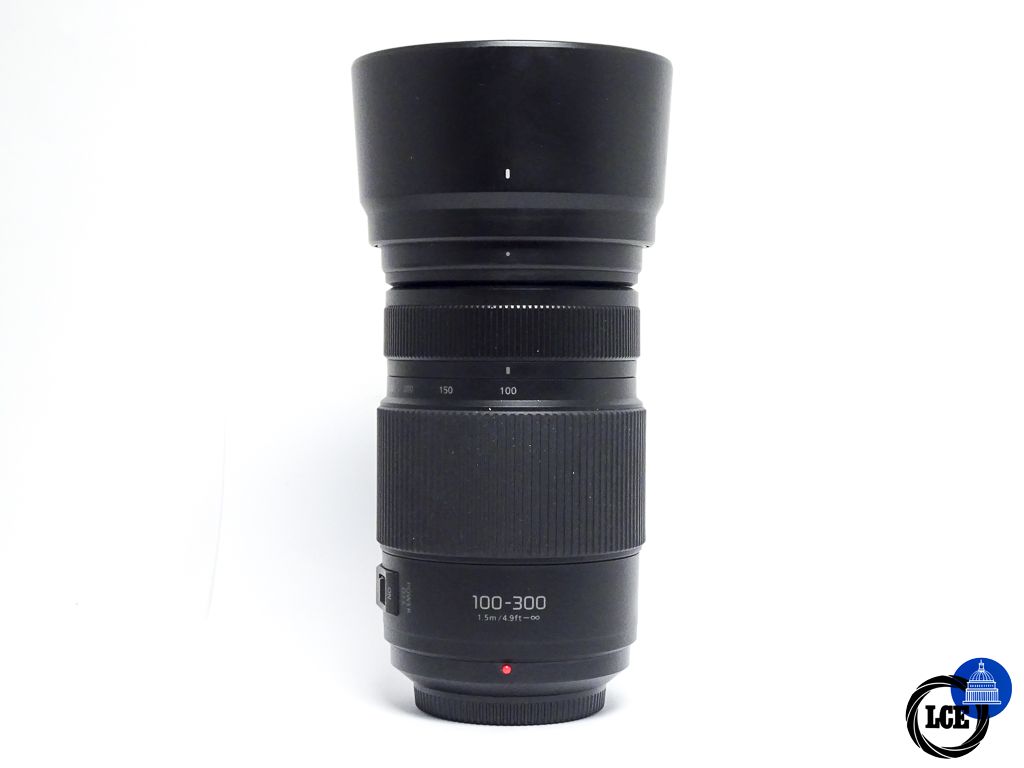 Panasonic Lumix 100-300mm G VARIO f/4-5.6 POWER O.I.S.