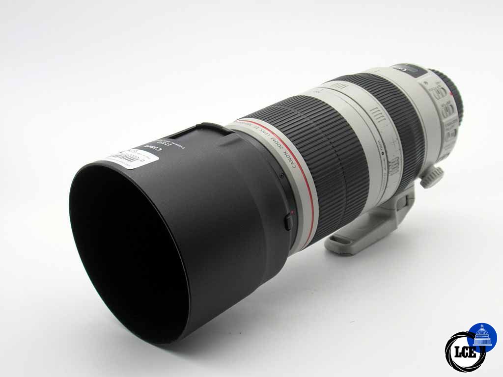 Canon EF 100-400mm f/4.5-5.6 L IS USM MKII