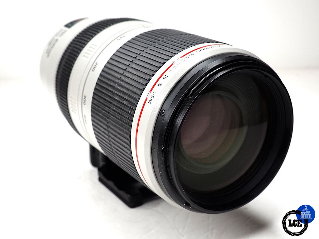 Canon EF 100-400mm f4.5-5.6 L IS USM