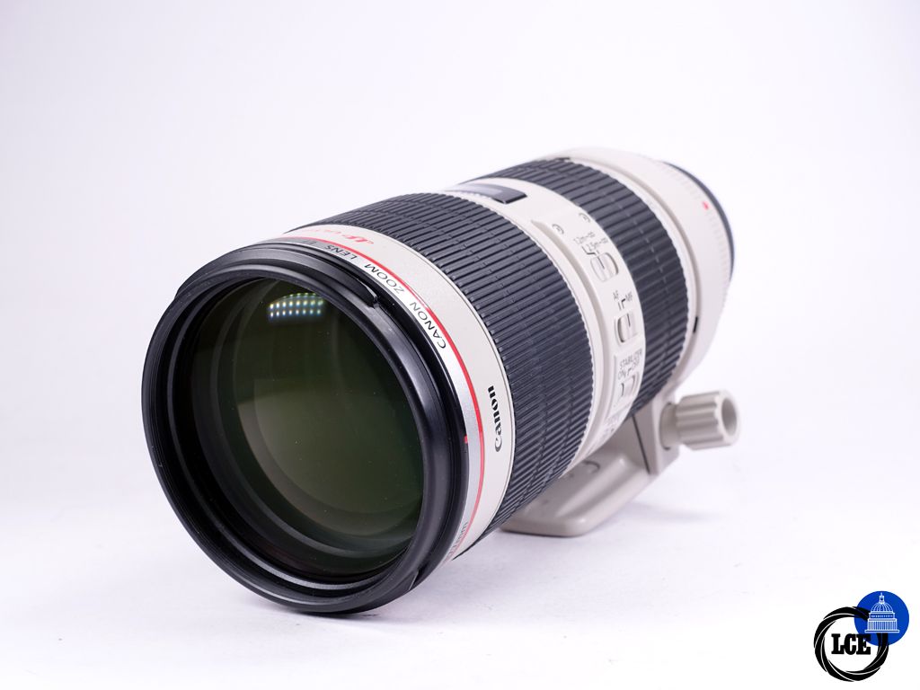 Canon EF 70-200mm f/2.8 L IS II