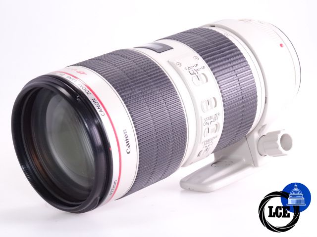 Canon EF 70-200mm f/2.8 L IS USM II