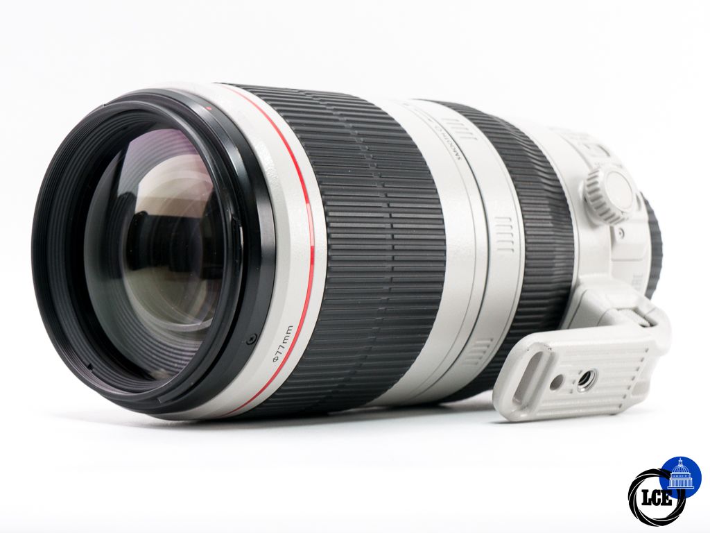 Canon EF 100-400mm F4.5-5.6 L IS USM MKII