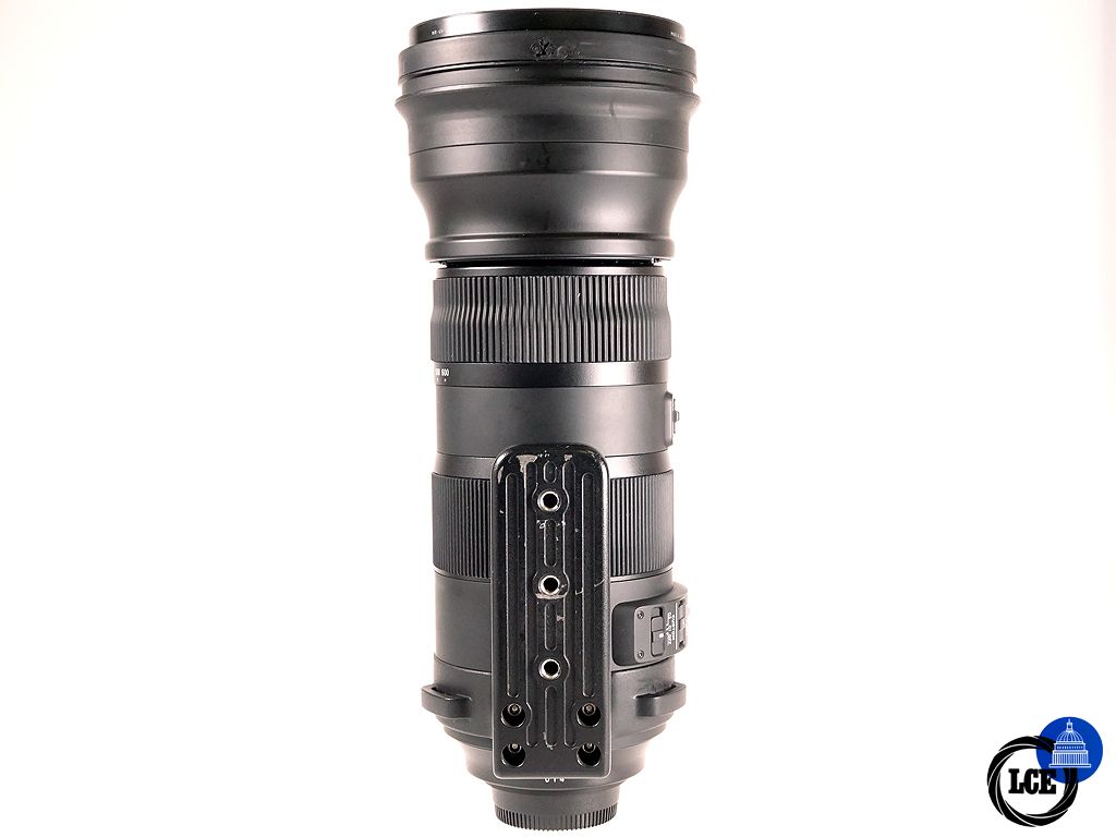 Sigma 150-600mm f5-6.3 DG Sport Nikon fit