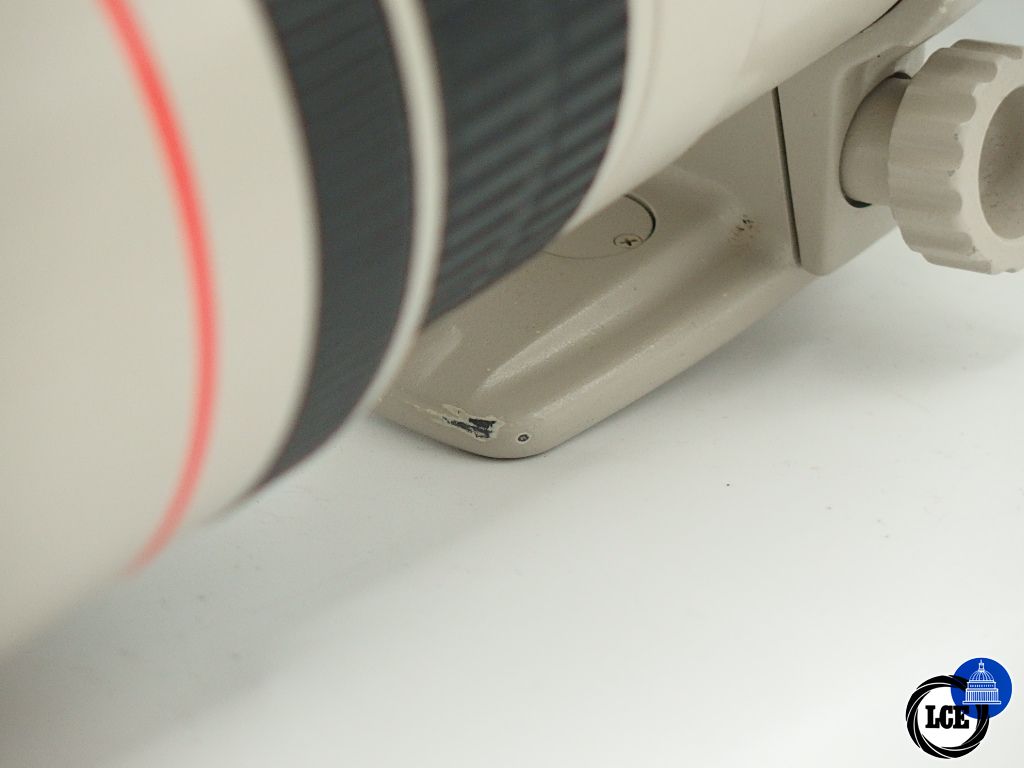 Canon EF 300mm f/4 L IS