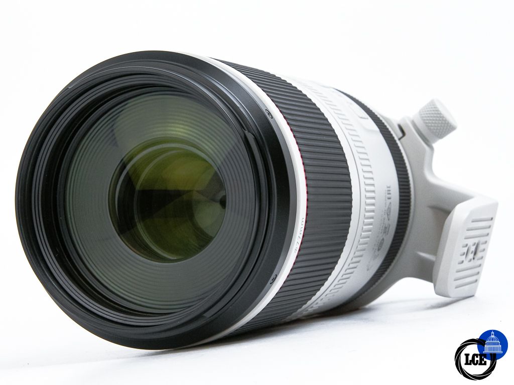 Canon RF 100-500mm f4.5-7.1 L IS USM