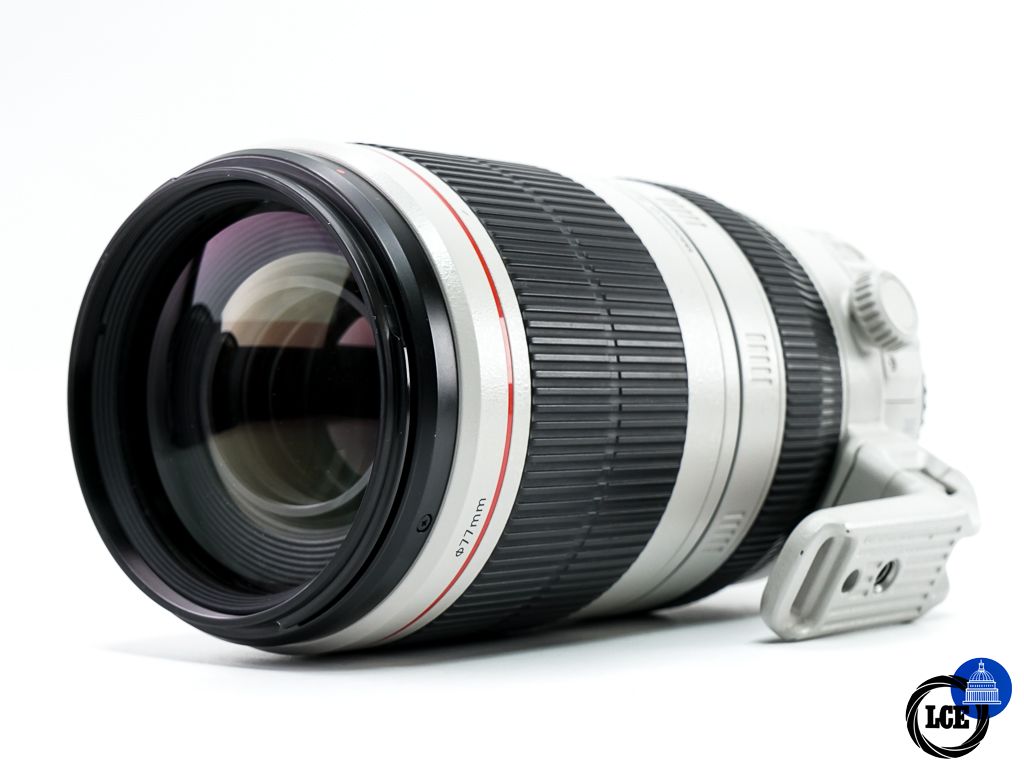 Canon EF 100-400mm F4.5-5.6 L IS USM MKII