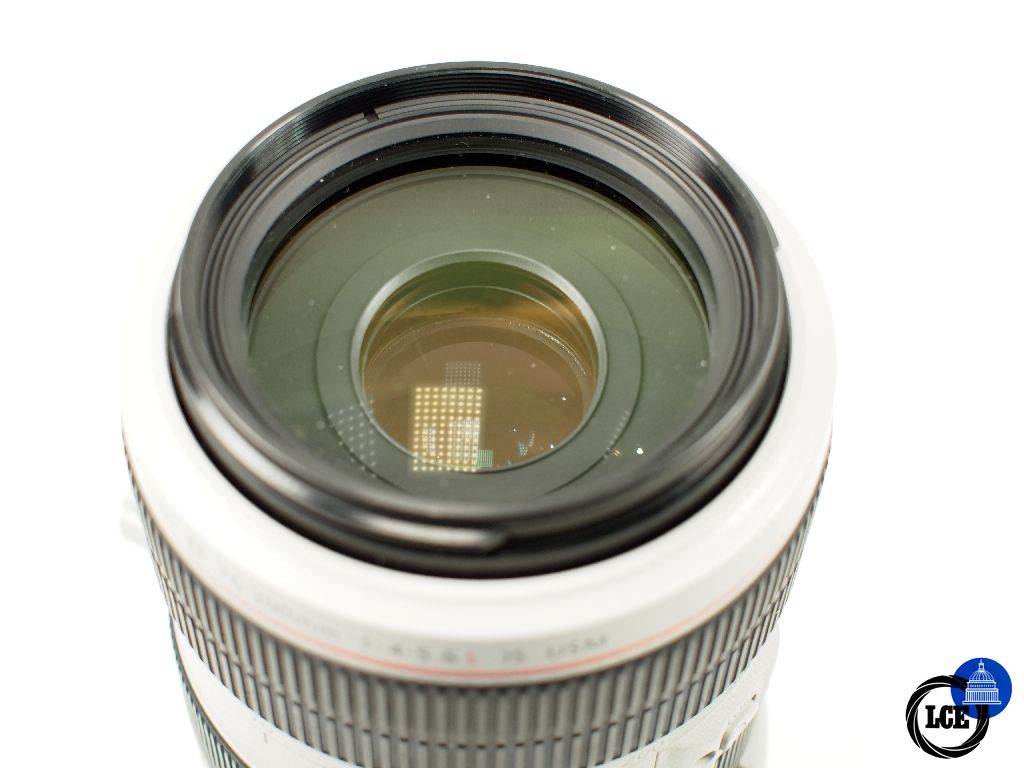 Canon EF 70-300mm f4-5.6 L IS USM