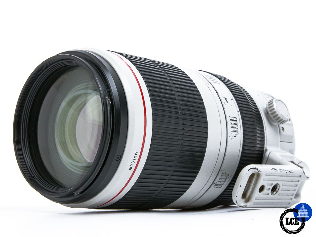 Canon EF 100-400mm f4.5-5.6 L IS II USM