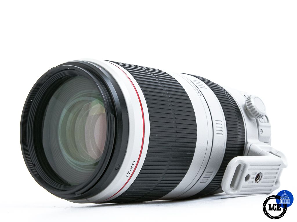 Canon EF 100-400mm f4.5-5.6 L IS II USM