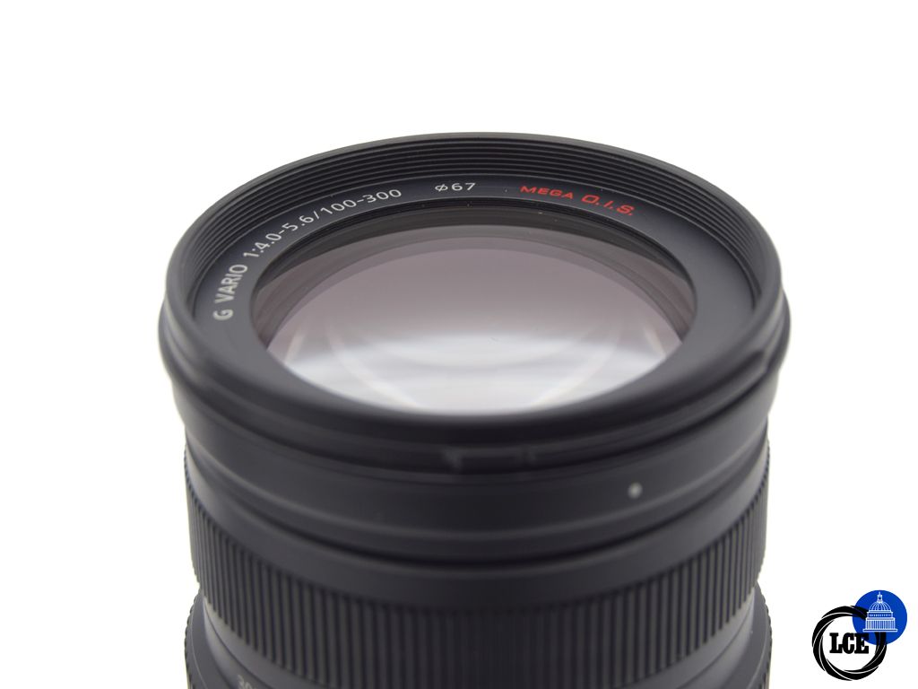 Panasonic Lumix 100-300mm f/4.0-5.6 Mega OIS