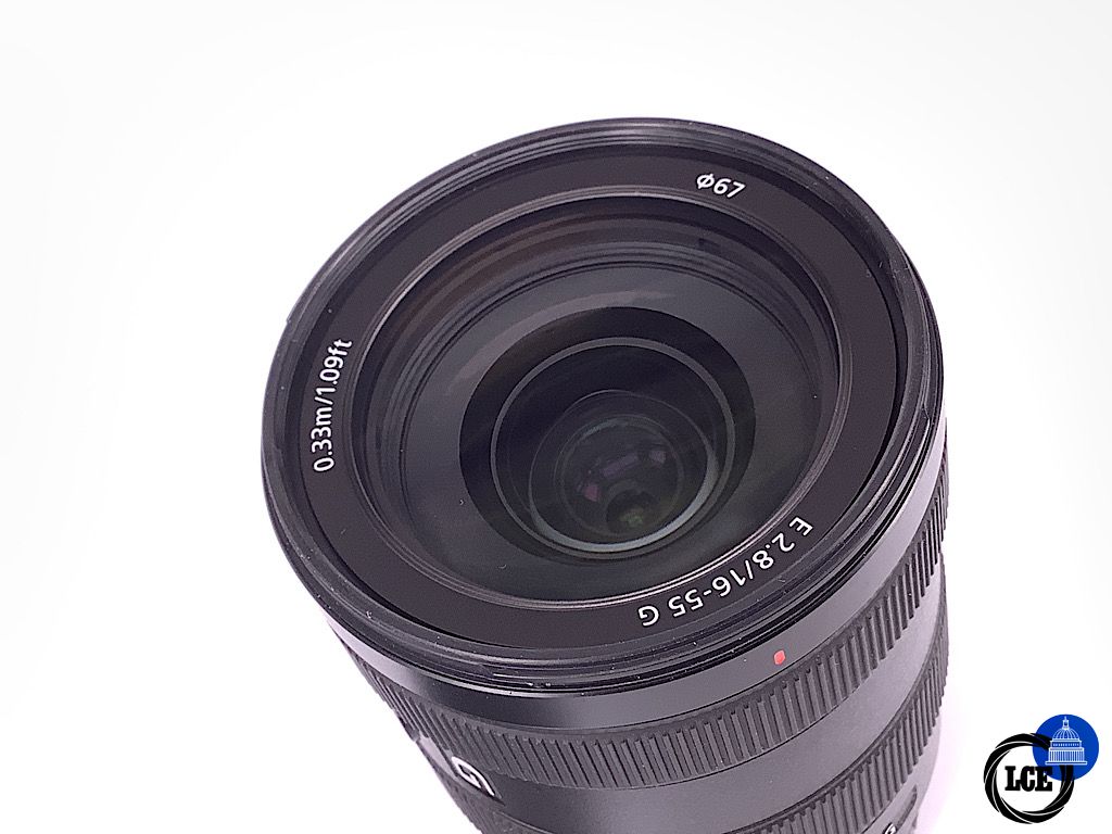 Sony E 16-55mm f2.8 G (APS-C models)