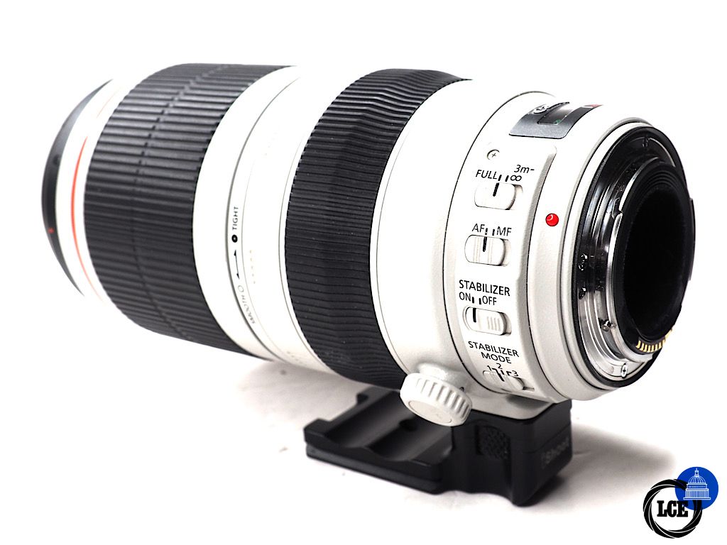 Canon EF 100-400mm f4.5-5.6 L IS USM