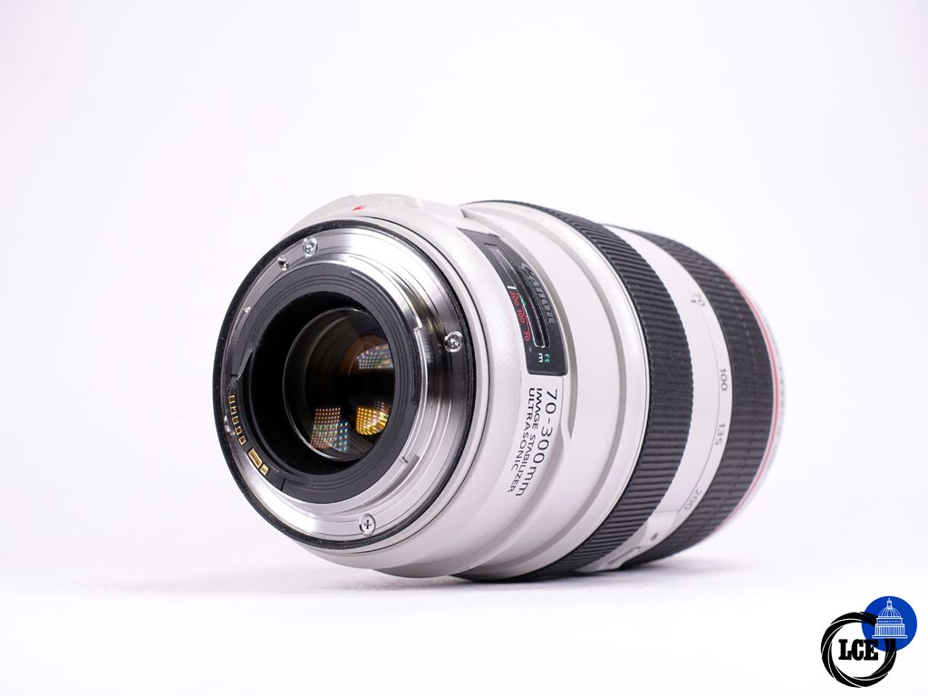 Canon EF 70-300mm f/4-5.6 L IS USM