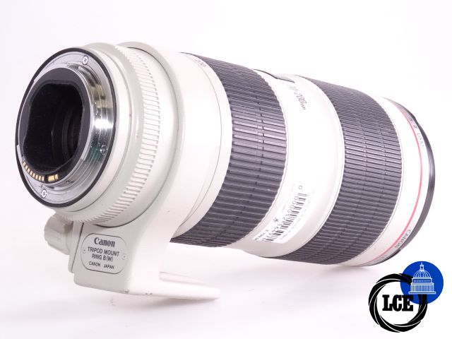 Canon EF 70-200mm f/2.8 L IS USM II