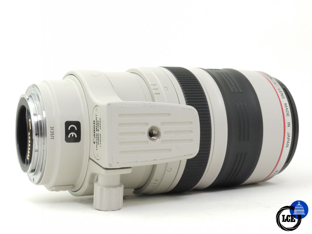 Canon EF 100-400mm F4.5-5.6 IS 