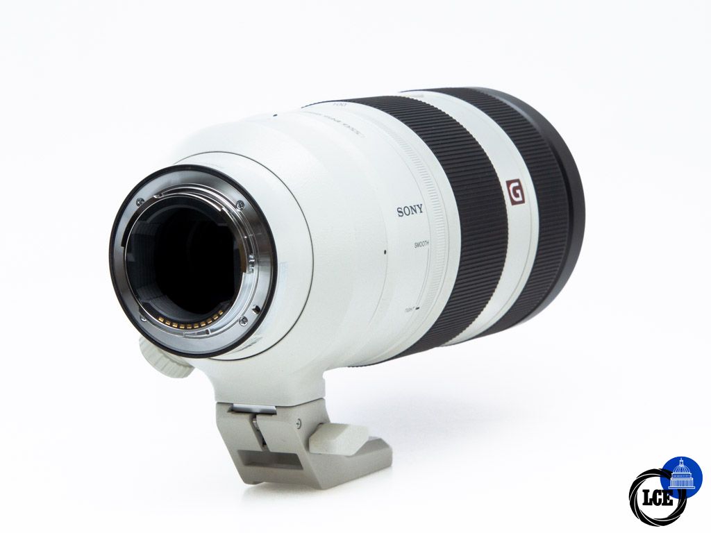 Sony FE 100-400mm f/4.5-5.6 OSS GM