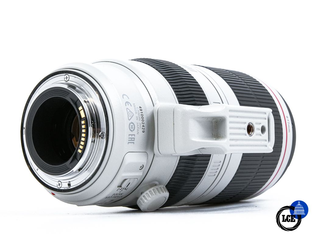 Canon EF 100-400mm f4.5-5.6 L IS II USM