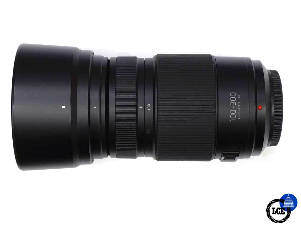 Panasonic LUMIX 100-300mm G Vario f4-5.6 OIS II