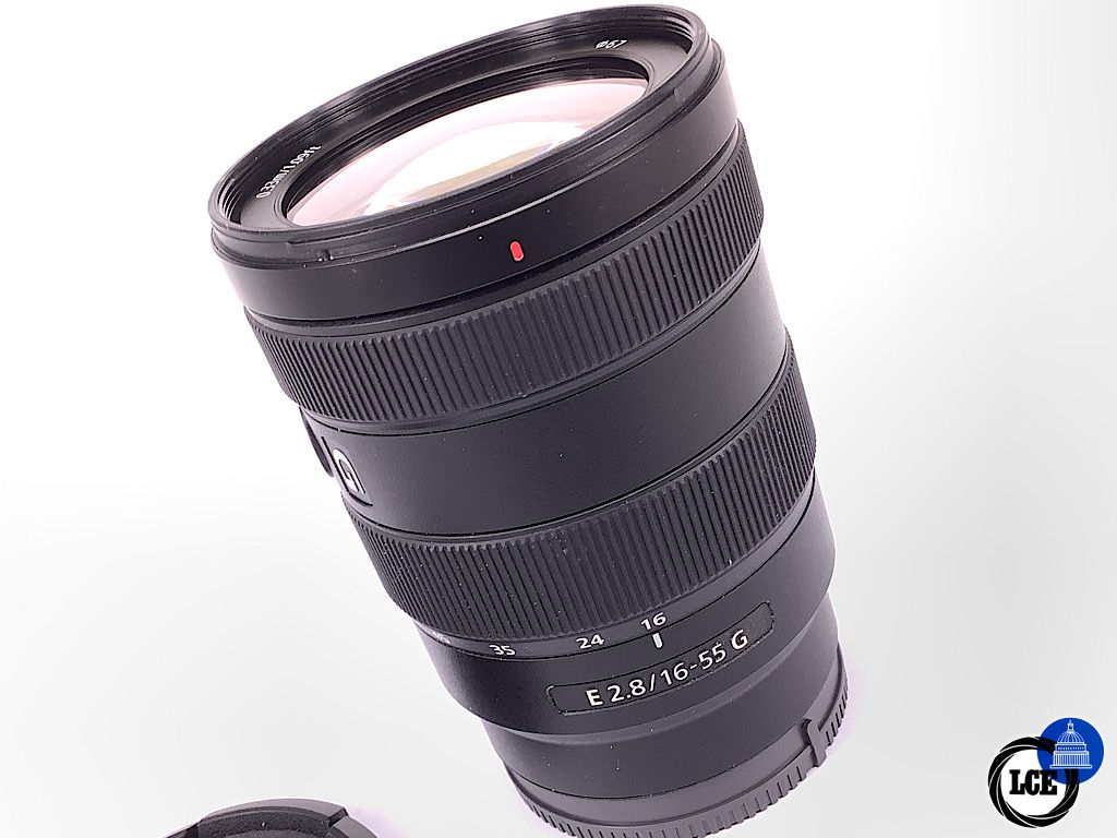 Sony E 16-55mm f2.8 G (APS-C models)