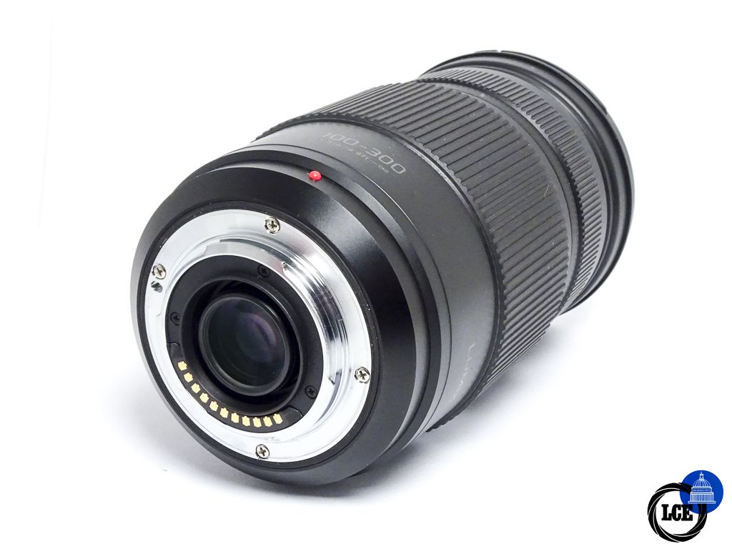 Panasonic Lumix 100-300mm G VARIO f/4-5.6 POWER O.I.S.