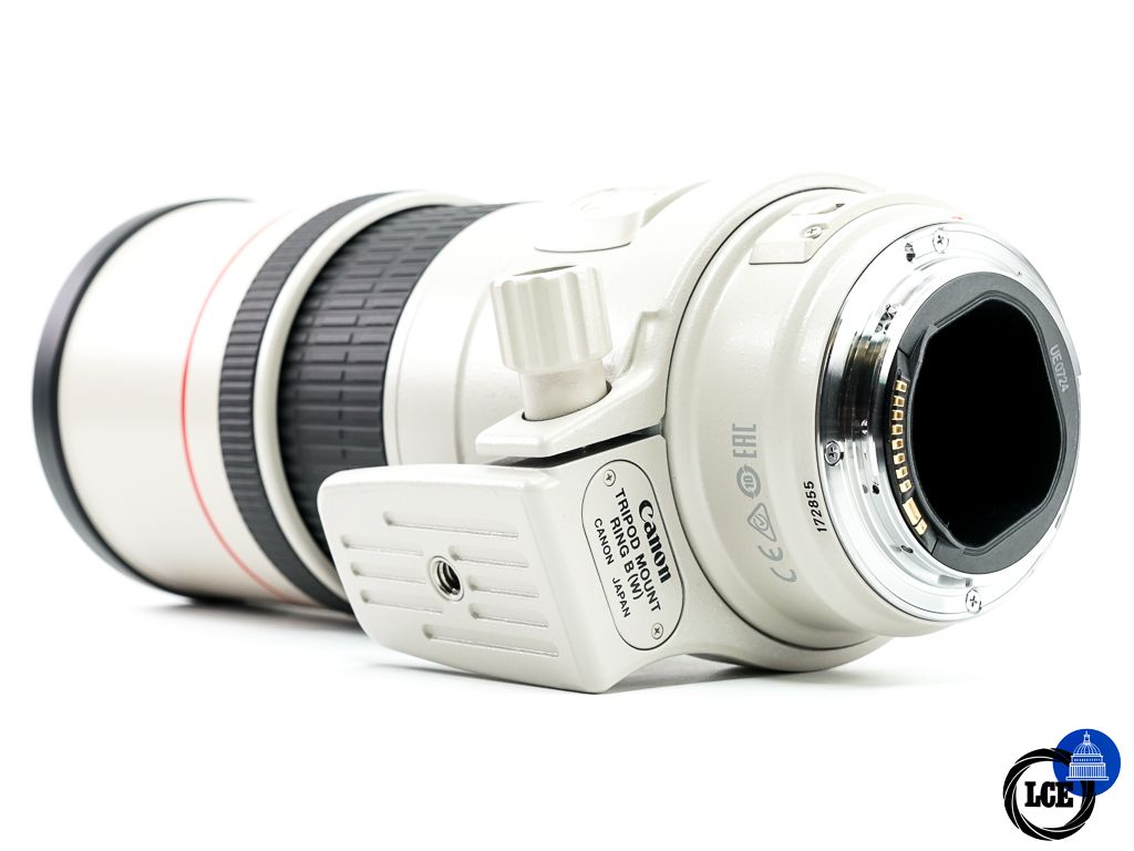 Canon EF 300mm f4L IS USM