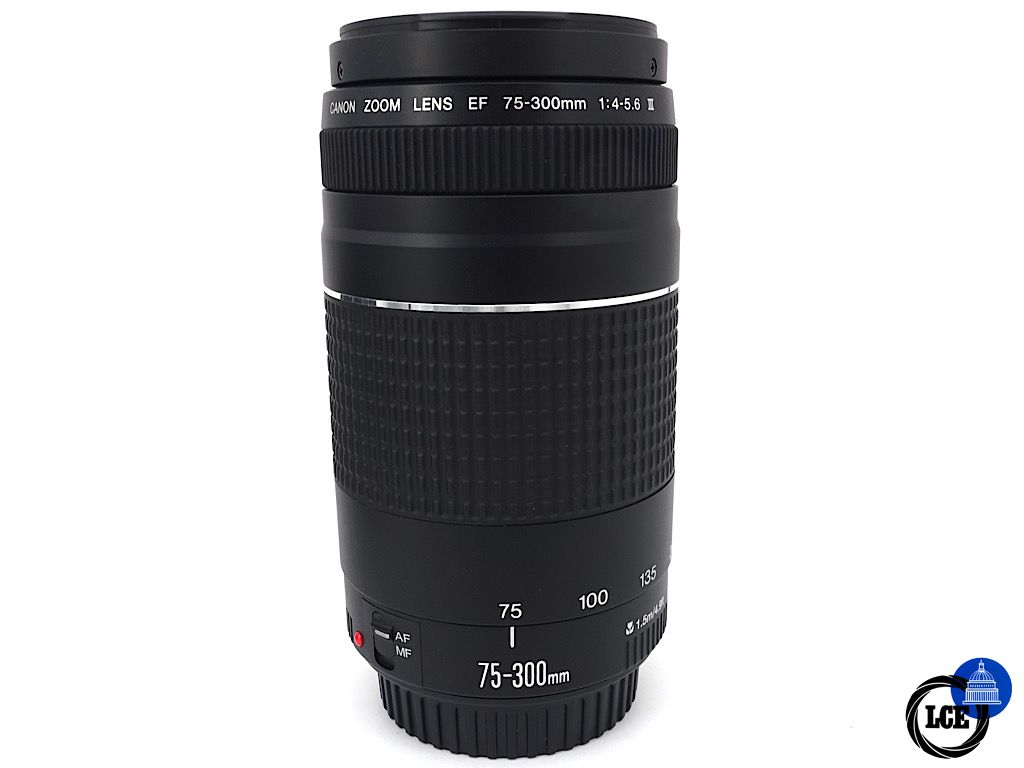 Canon EF 75-300mm F4-5.6 III | 4*