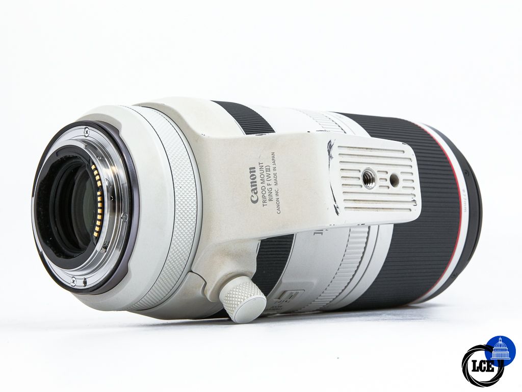 Canon RF 100-500mm f4.5-7.1 L IS USM