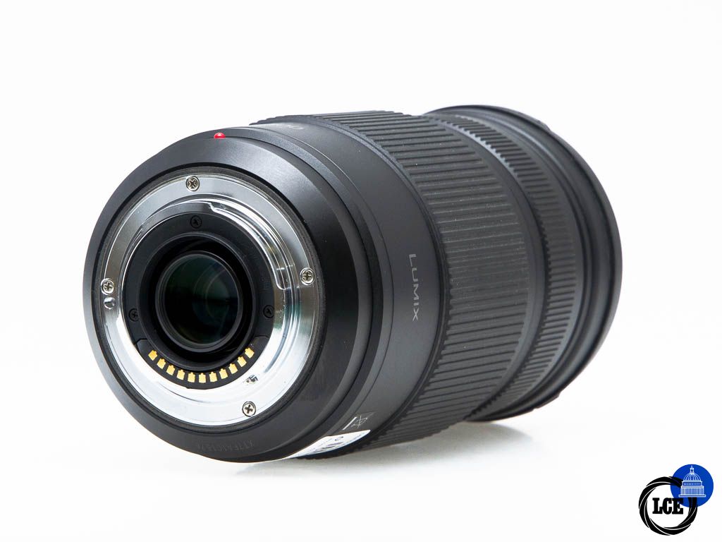 Panasonic Lumix G Vario 100-300mm f/4-5.6 O.I.S