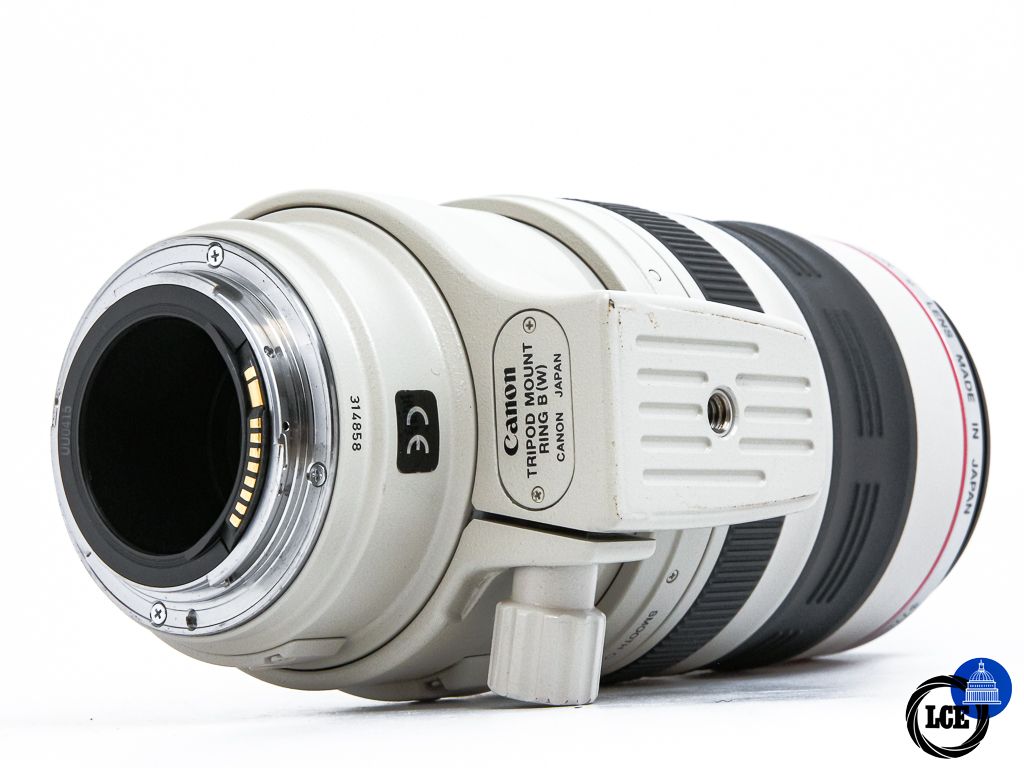 Canon EF 100-400mm f4.5-5.6 L IS USM