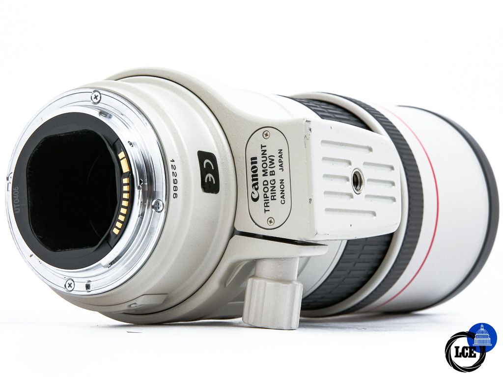 Canon EF 300mm f4 L IS USM