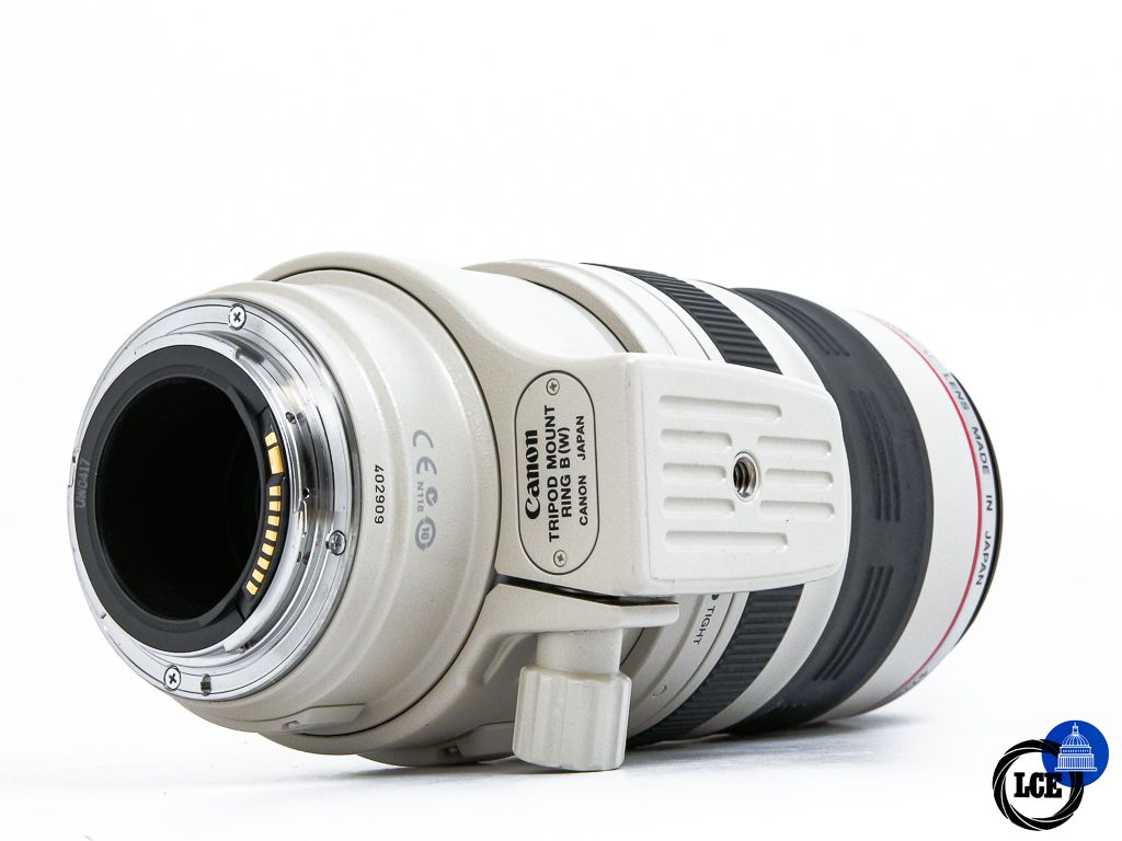 Canon EF 100-400mm f4.5-5.6 L IS USM