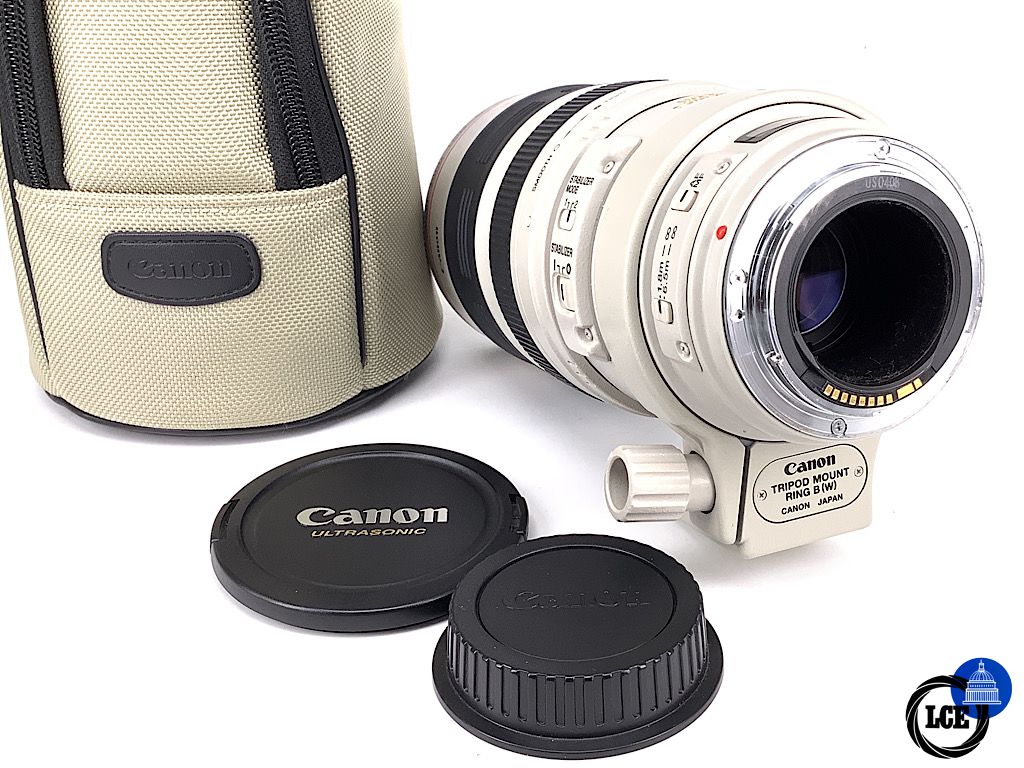 Canon EF 100-400mm F4-5.6 L IS USM