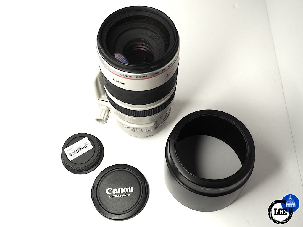 Canon EF 100-400mm F4.5-5.6 L IS