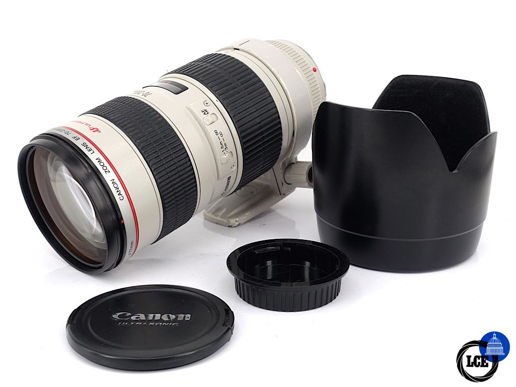 Canon EF 70-200mm F2.8 L | 3*