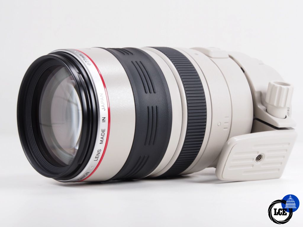 Canon 100-400mm F4.5-6.5 L IS EF