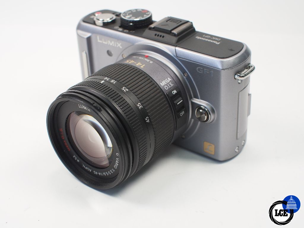 Panasonic GF-1 with 14-45mm 